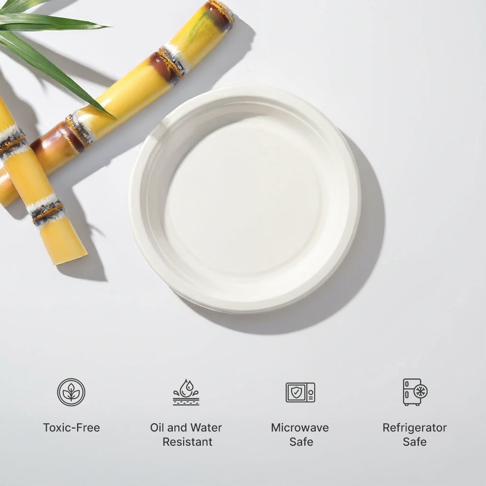 12 Inch Disposable plate – Ecovariants