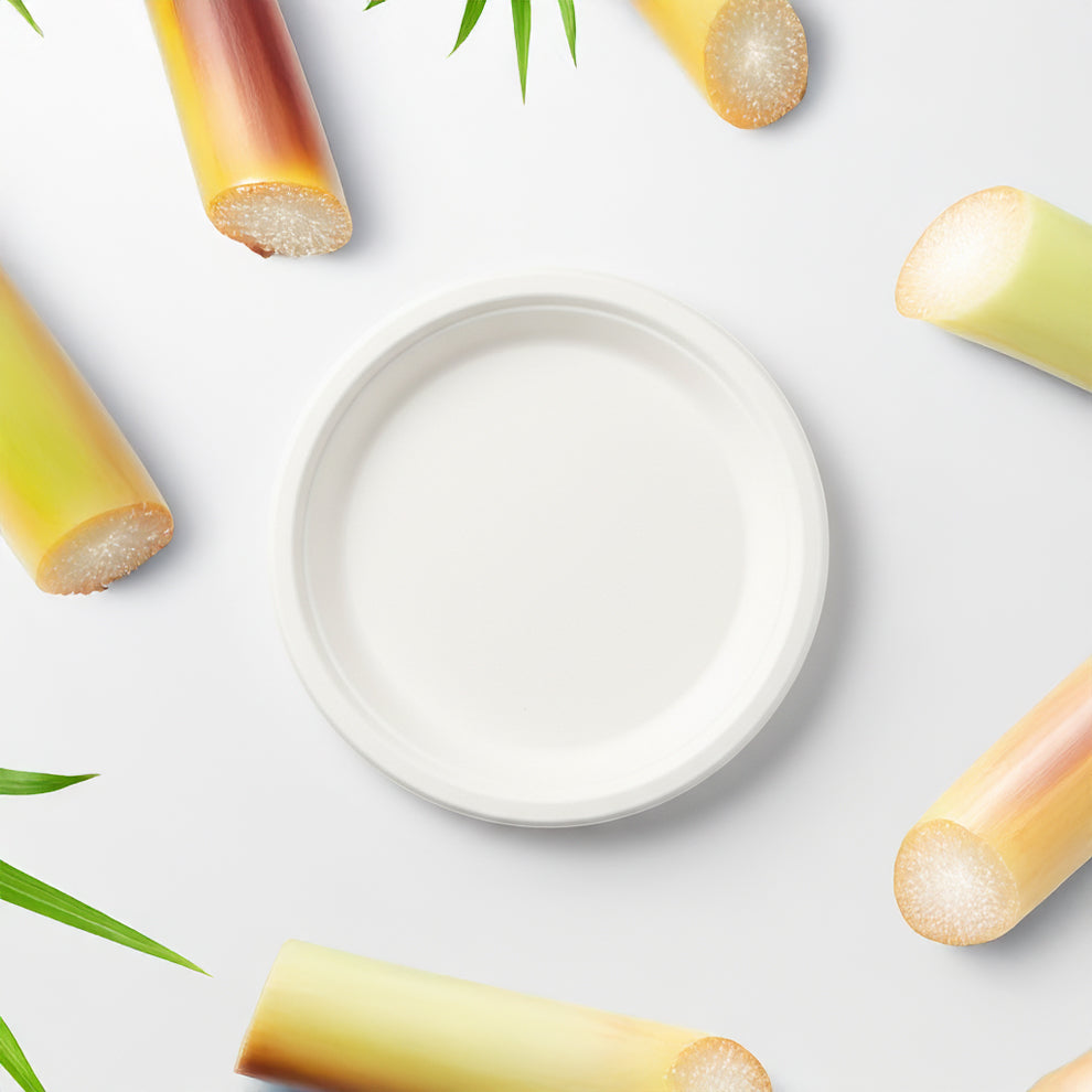 12 Inch Disposable plate