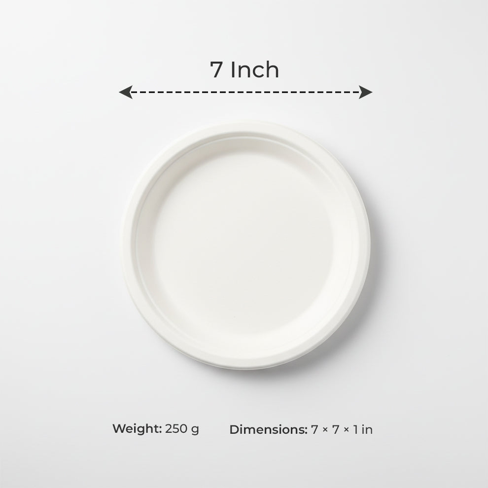 12 Inch Disposable plate