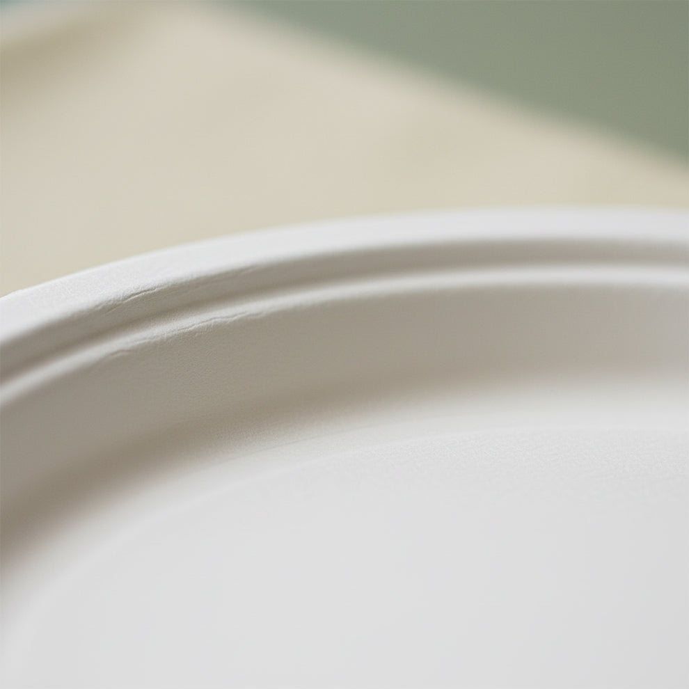12 Inch Disposable plate